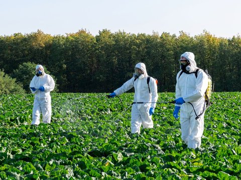 pesticide spuiters