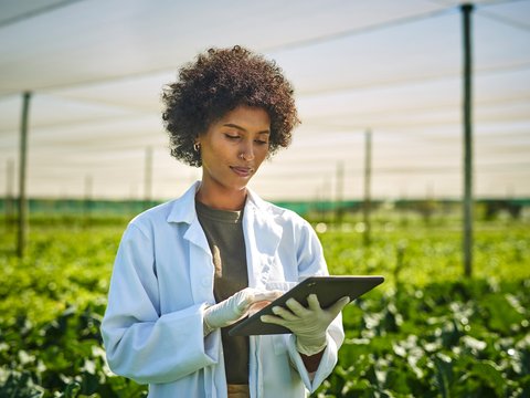 Inspectie nieuwe eisen veiligheidsinformatieblad (VIB)